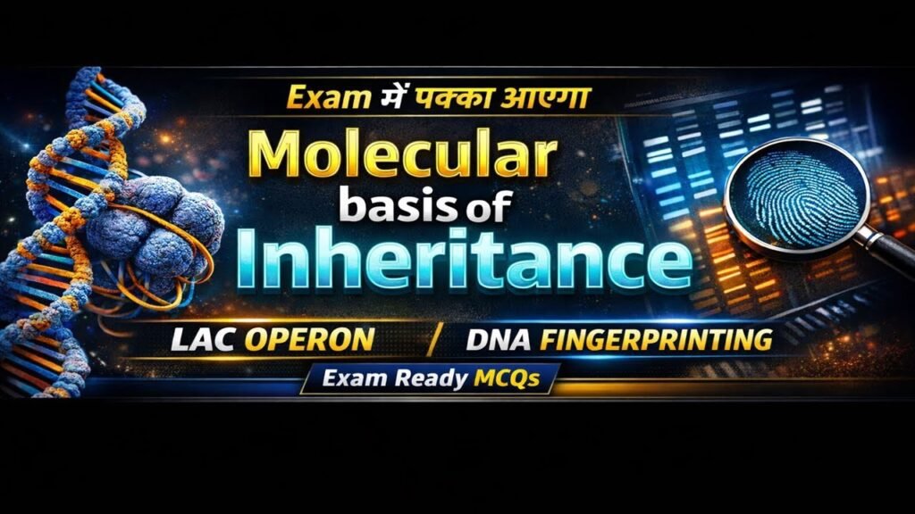 Molecular basis of inheritance MCQ – 38 Most Expected Questions